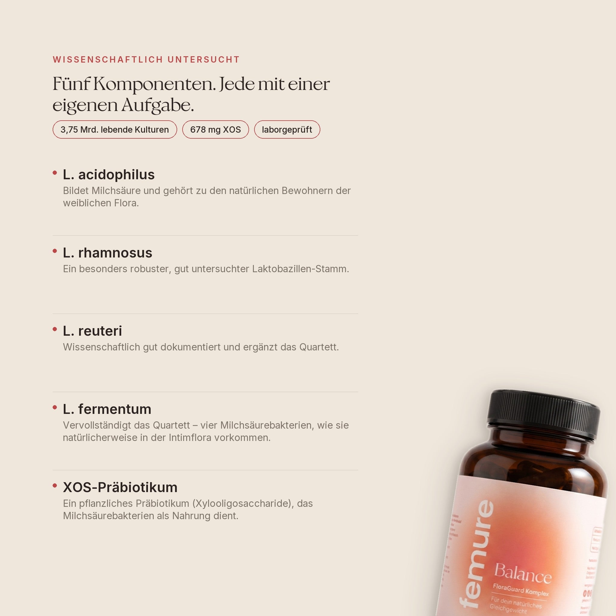 femure BALANCE — fünf Komponenten, wissenschaftlich untersucht